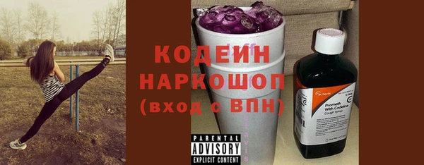 шишки Богородицк