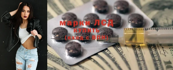 шишки Богородицк