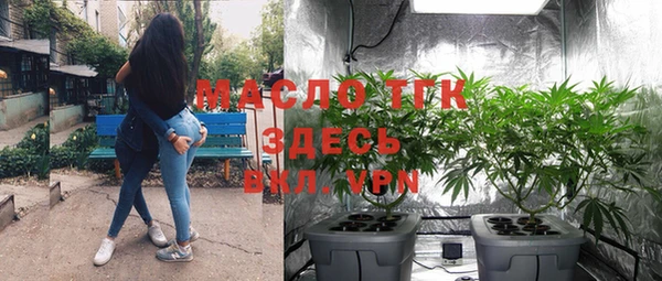 шишки Богородицк