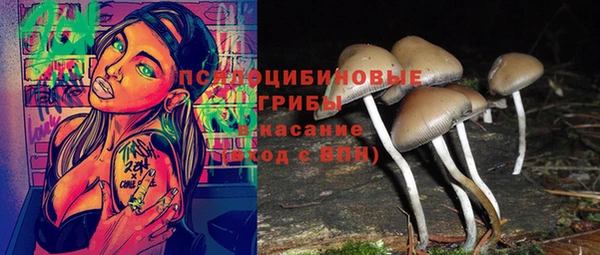 СК Россошь