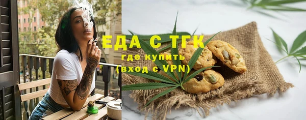 шишки Богородицк