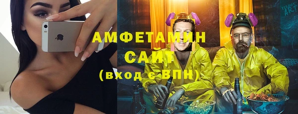 шишки Богородицк